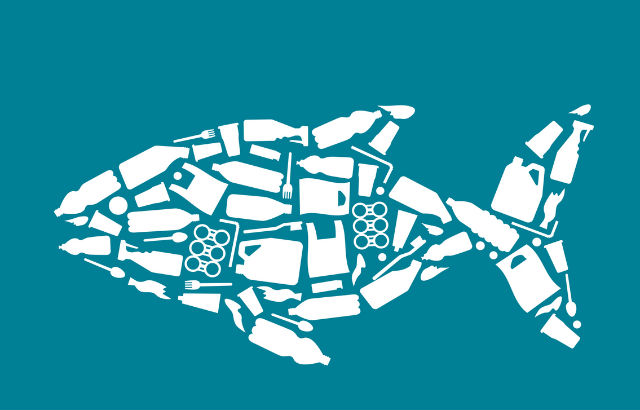 Illustration of a fish