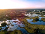 An aeriel photo of Brazilian wetlands. Credit https://www.istockphoto.com/photo/pantanal-photographed-in-corumb%C3%A1-mato-grosso-do-sul-pantanal-biome-brazil-gm1091836810-292934028