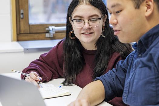 1-2-1 Career Support and Skills Workshop